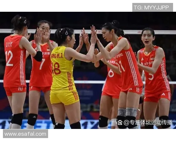 排球耐力排行榜揭晓北京排球队荣登第九位展现实力与拼搏精神