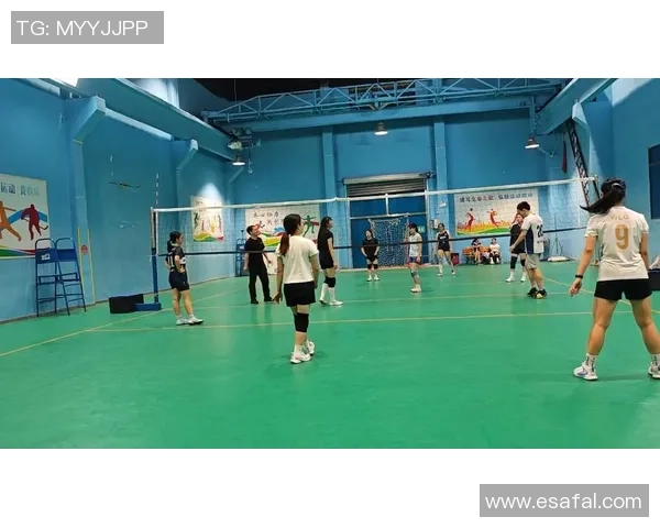 武汉排球队勇闯奥运舞台的逆袭之旅与辉煌时刻