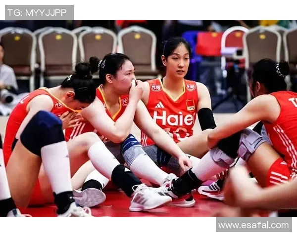 杭州排球队战术实力强劲荣登全国第九名引发关注