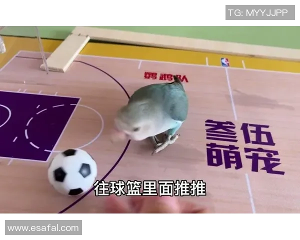 模仿足球明星搞笑恶搞路人瞬间引发围观笑声不断