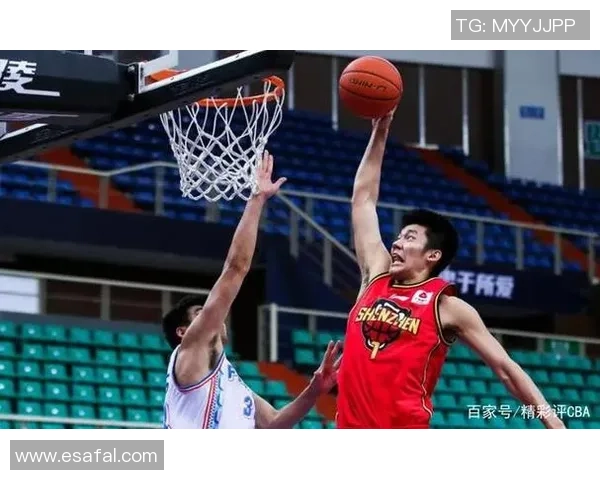 杭州篮球队总决赛精彩表现分析与实力评估