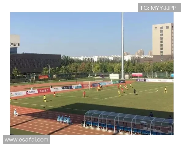 南京足球队在全运会积分榜上以90分稳居第一名引发关注