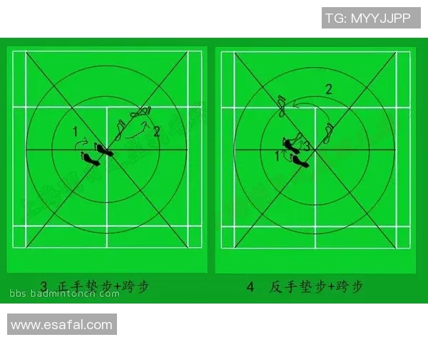 武汉羽毛球队进攻策略深度分析与战术特点探讨