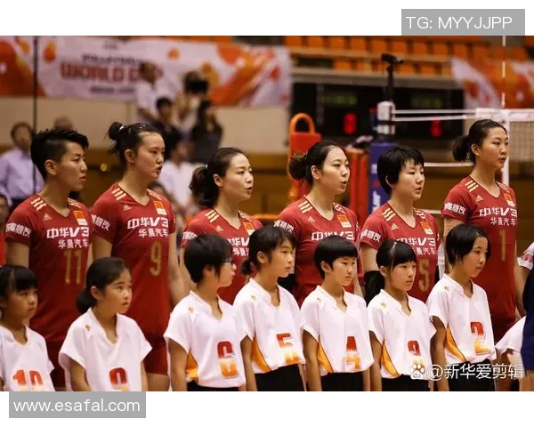 赛后分析：西安排球队与成都排球队实力对比及比赛亮点总结