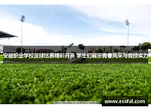 安徽职业学校足球比赛精彩开赛 学生们展示青春风采与竞技实力