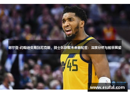 谢尔登-约翰逊交易到尼克斯，骑士队获取未来首轮签：深度分析与前景展望