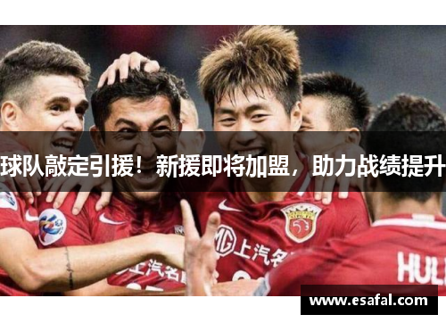 球队敲定引援！新援即将加盟，助力战绩提升
