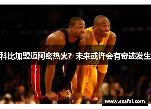 科比加盟迈阿密热火？未来或许会有奇迹发生