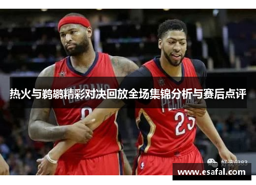 热火与鹈鹕精彩对决回放全场集锦分析与赛后点评