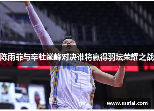 陈雨菲与辛杜巅峰对决谁将赢得羽坛荣耀之战