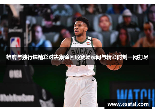 雄鹿与独行侠精彩对决集锦回顾赛场瞬间与精彩时刻一网打尽